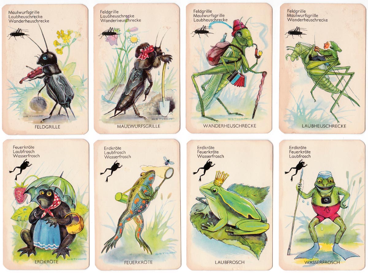 “Kleine Tierwelt” wildlife quartet game designed by Heinz Osthoff, published by Bielefelder Spielkarten GmbH, 1963