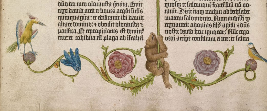 a climbing bear from the Gutenberg Bible, William Scheide collection, f.160v