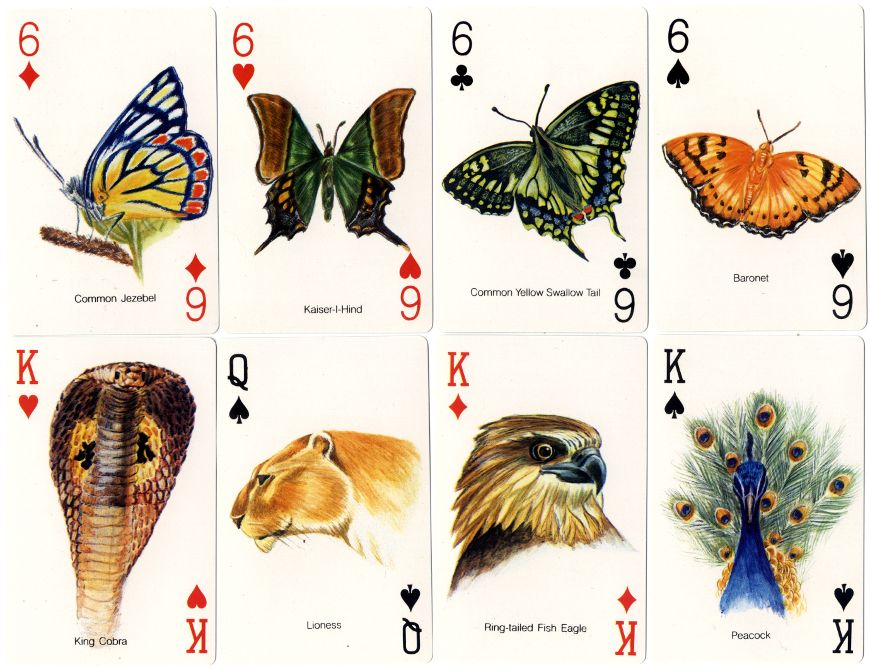 World Wide Fund for Nature-India Playing Cards