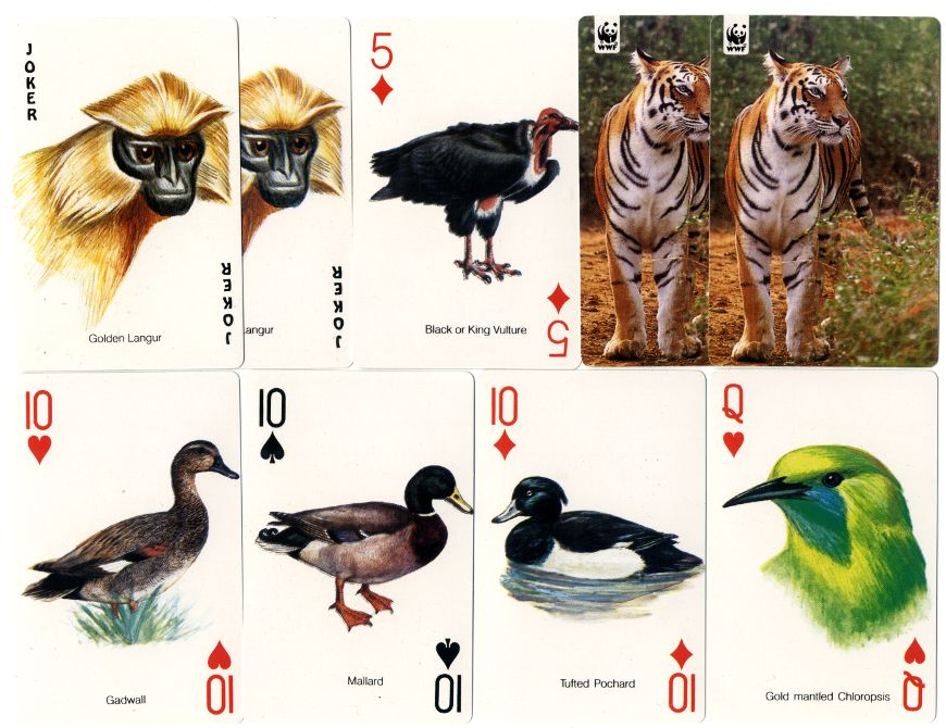 World Wide Fund for Nature-India Playing Cards