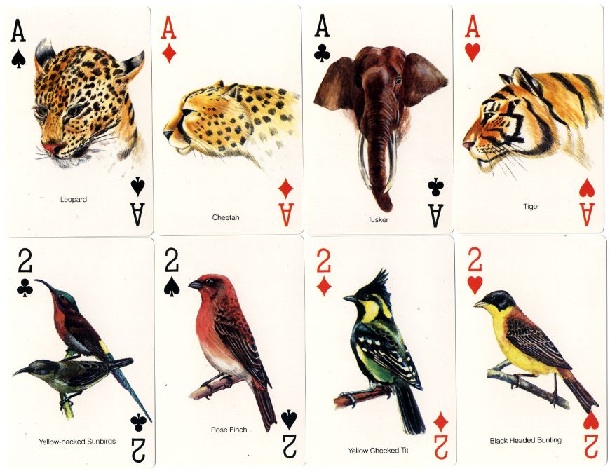 World Wide Fund for Nature-India Playing Cards