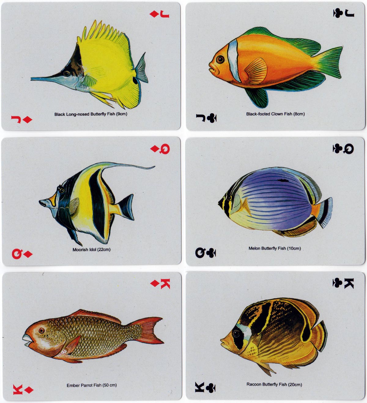 Fish Playing Cards by Bamboo