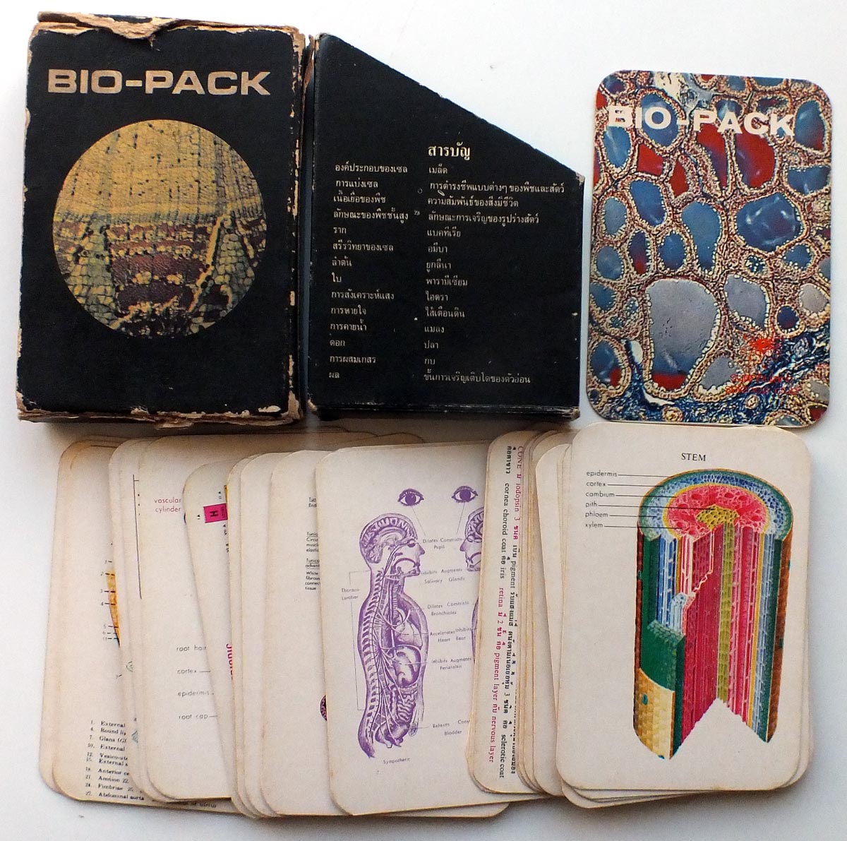 Bio-Pack biology flashcards produced for Thai students