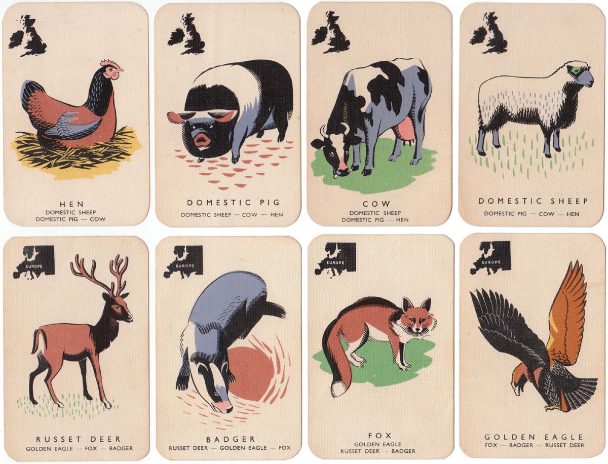 Animal Families by Paul & Marjorie Abbatt Ltd, c.1970