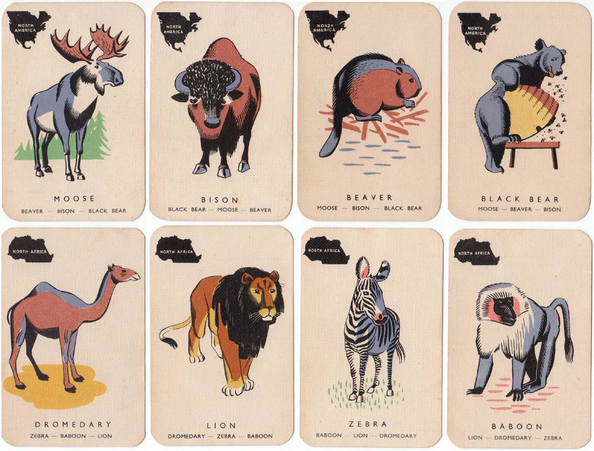 Animal Families by Paul & Marjorie Abbatt Ltd, c.1970