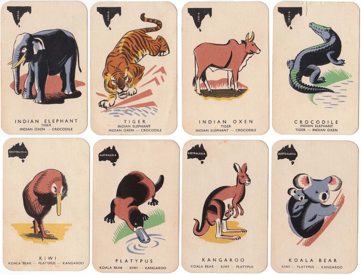 Animal Families by Paul & Marjorie Abbatt Ltd, c.1970
