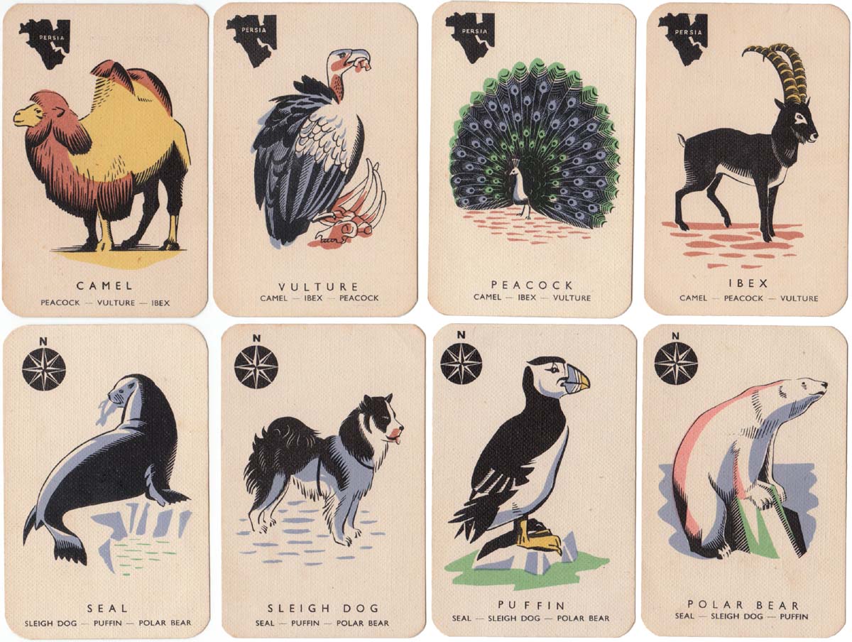 Animal Families by Paul & Marjorie Abbatt Ltd, c.1970