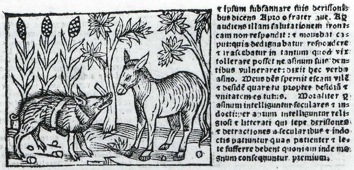 Boar and Ass illustration from a woodcut series of Aesop, Genoa, 1557 Boar and Ass illustration from a woodcut series of Aesop, Genoa, 1557