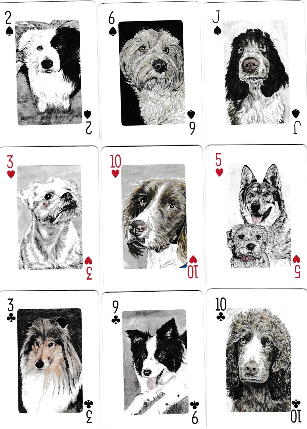 Pack of dogs — The World of Playing Cards