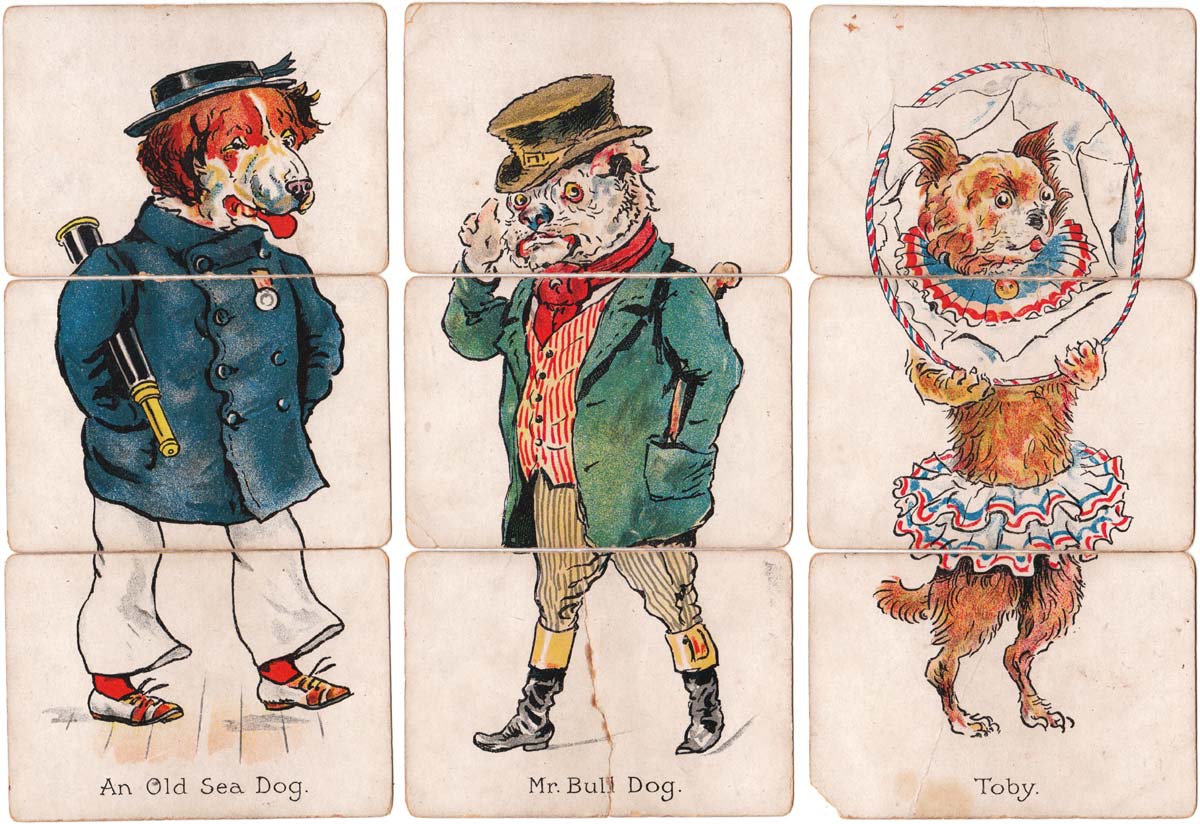Zoological Misfitz card game published by C.W. Faulkner