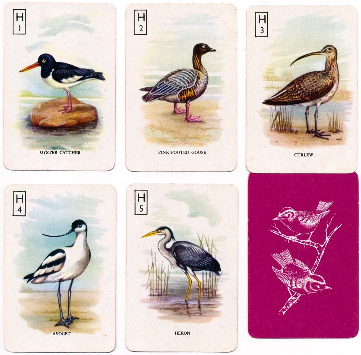 Pepys “British Birds” card game with colour pictures, c.1968