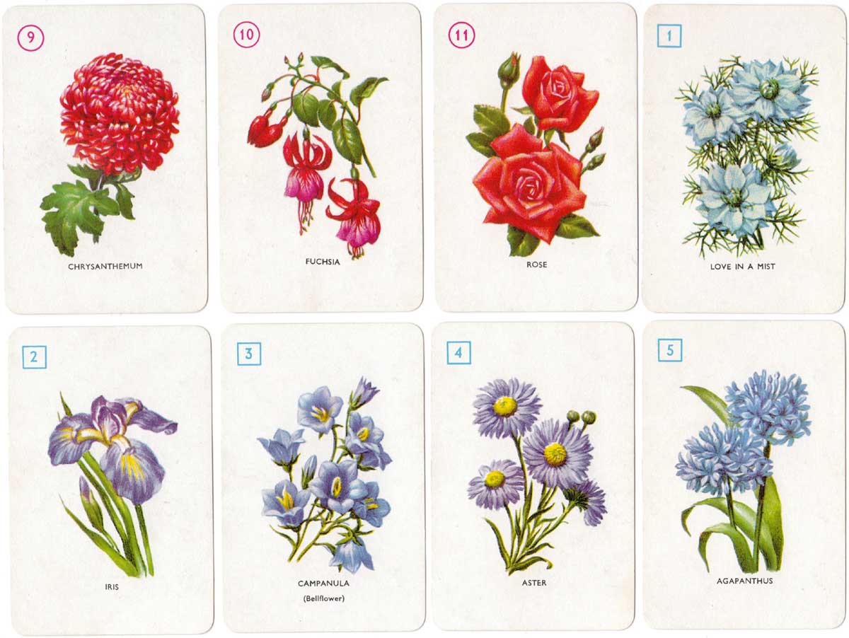 Garden Flowers card game designed by Dora Ratman, published by Pepys, 1961