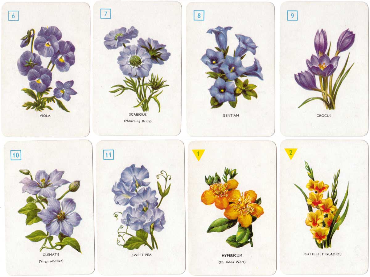 Garden Flowers card game designed by Dora Ratman, published by Pepys, 1961