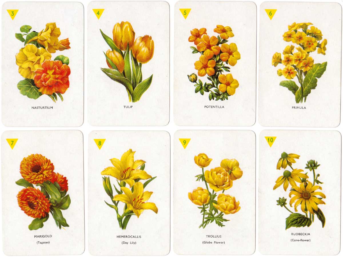 Garden Flowers card game designed by Dora Ratman, published by Pepys, 1961