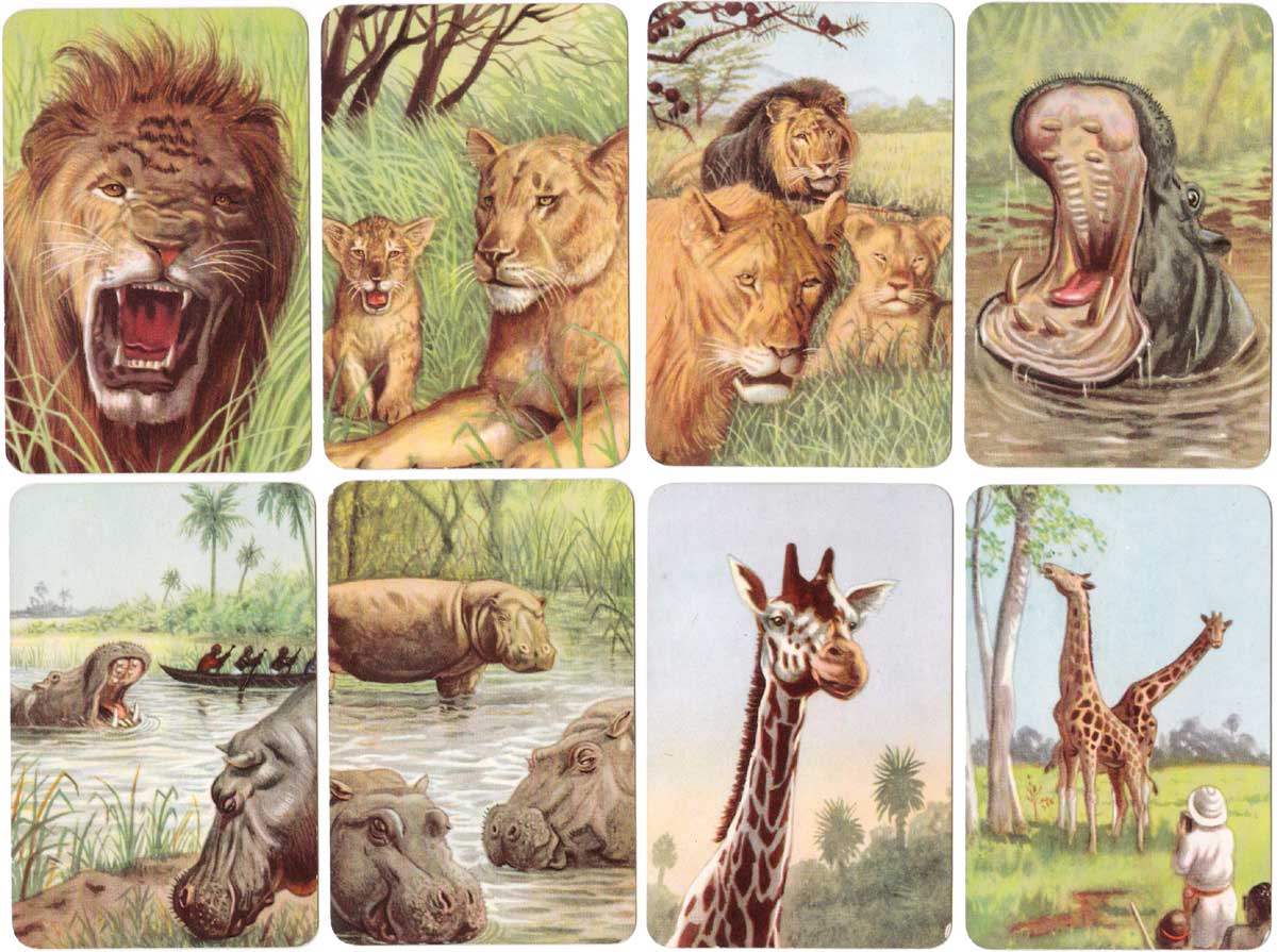 Jungle Thrills published by Pepys Games, 1955 Jungle Thrills published by Pepys Games, 1955