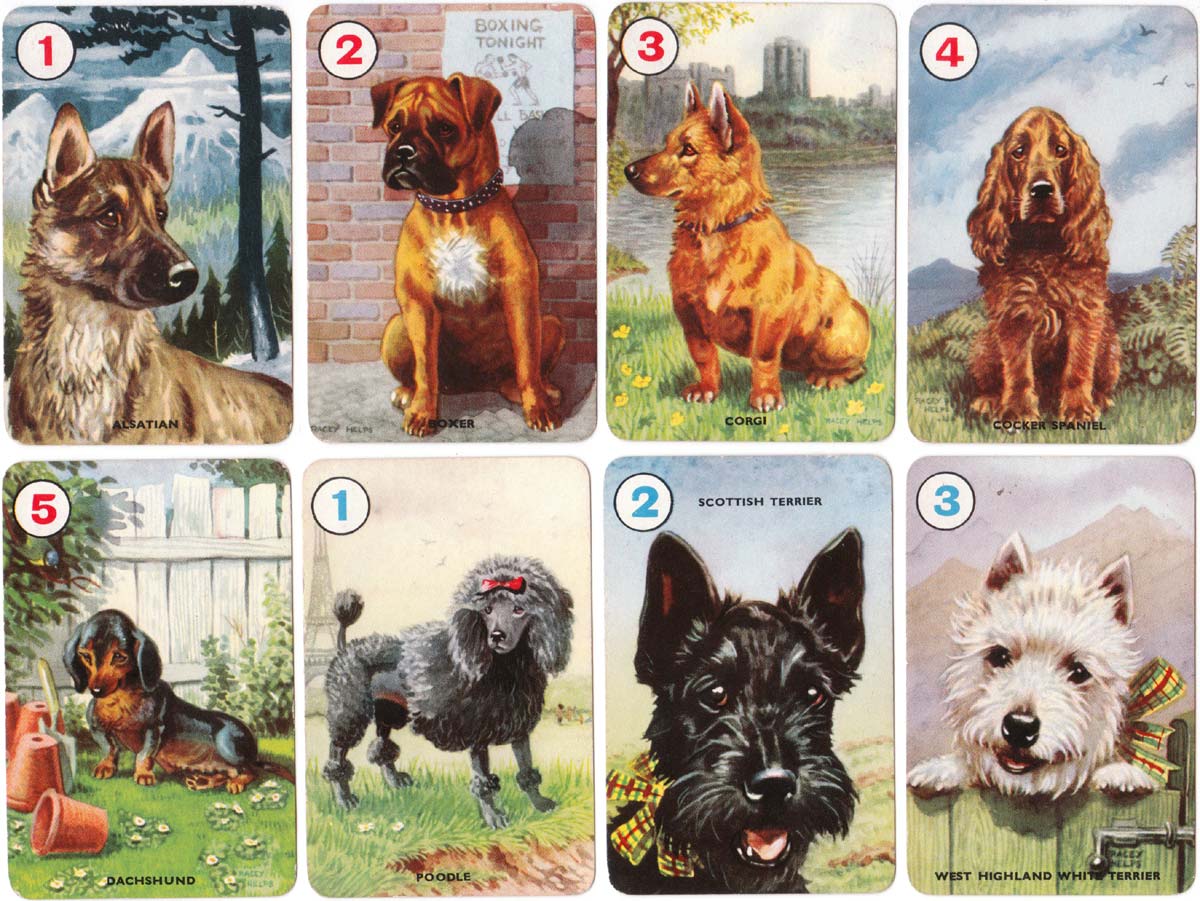 Pets card game illustrated by Racey Helps and published by Pepys Games in 1955