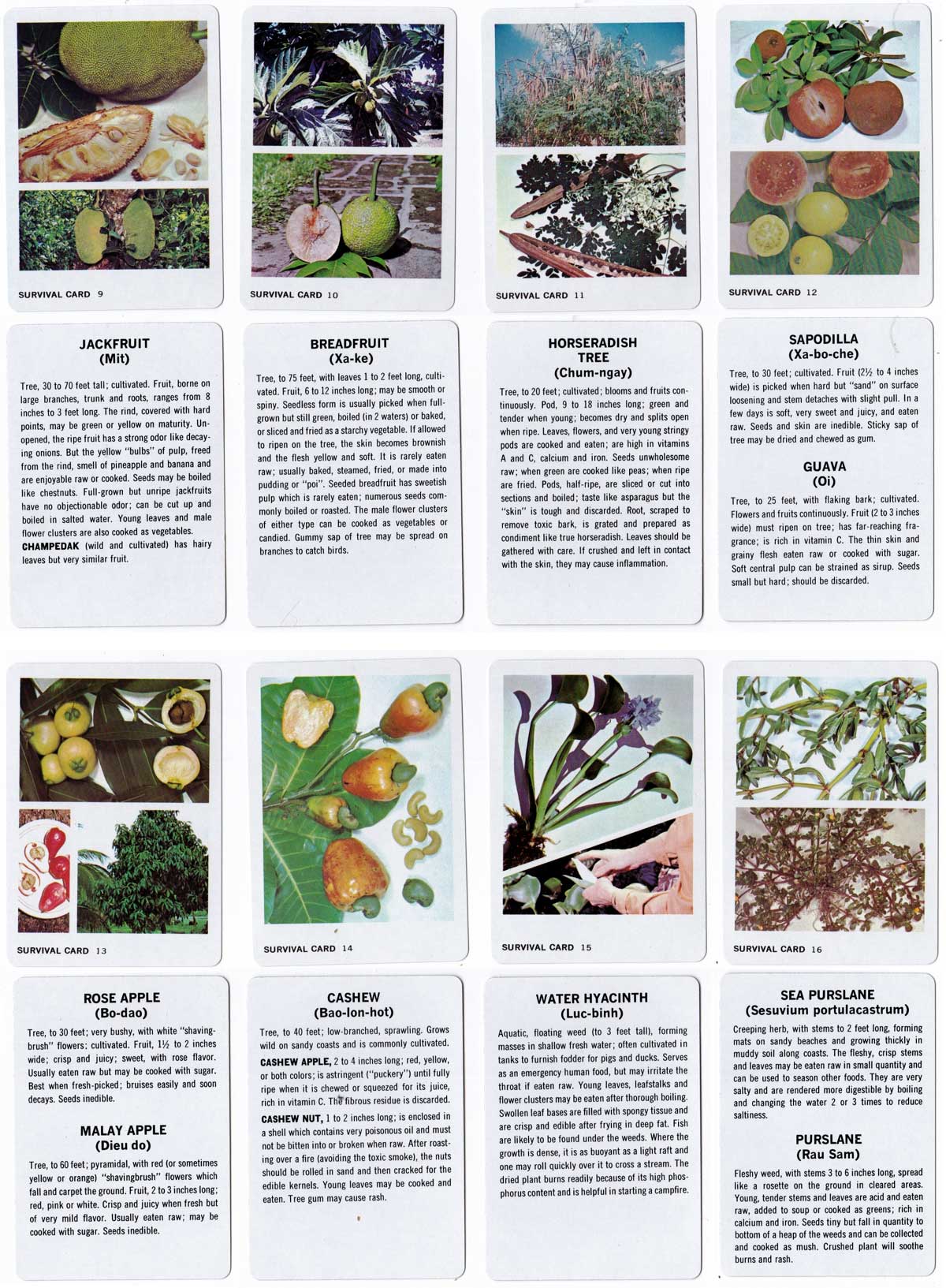 Survival Playing Cards for South East Asia, 1968 Survival Playing Cards for South East Asia, 1968