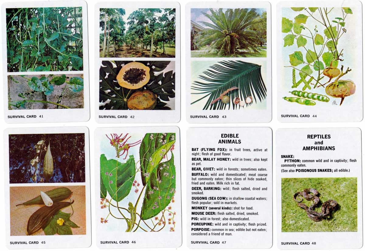 Survival Playing Cards for South East Asia, 1968 Survival Playing Cards for South East Asia, 1968