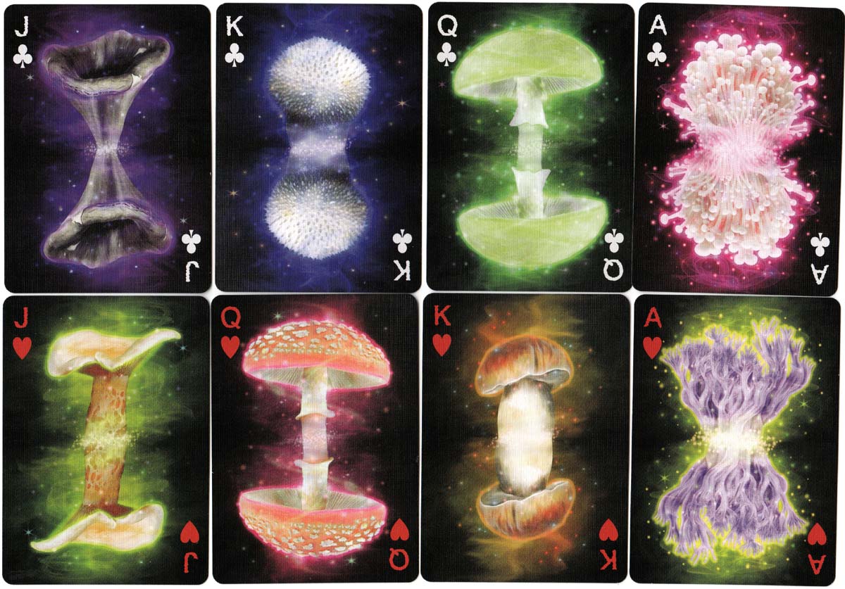 Fungi Mycological Playing Cards, manufactured by USPCC, 2018 Fungi Mycological Playing Cards, manufactured by USPCC, 2018