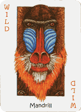 Mandrill