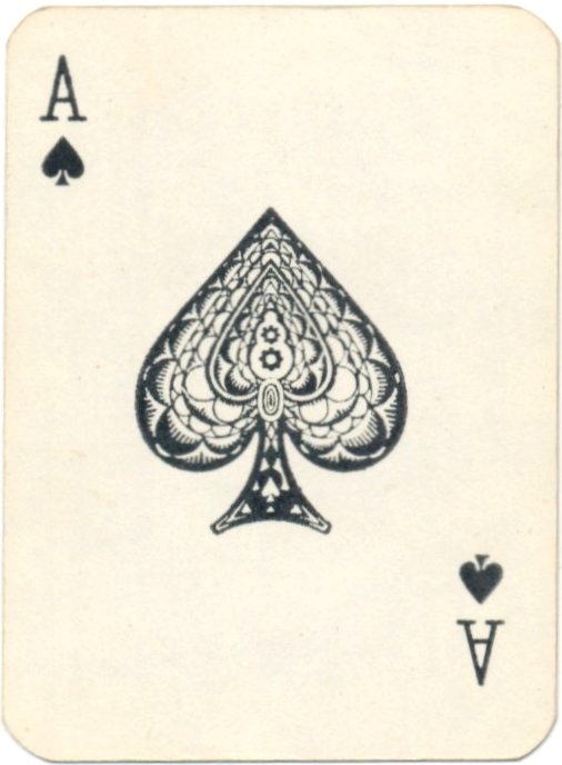 2004-tiger