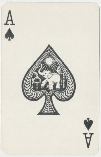 585-elephant
