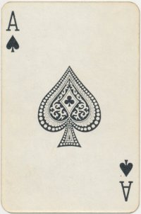 800-giraffe