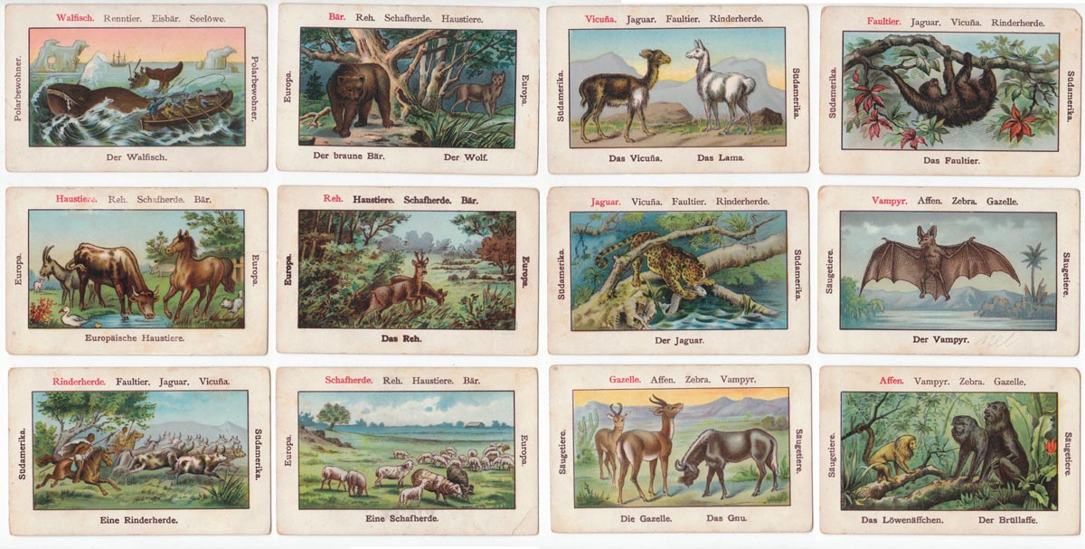 Zoological card game, anonymous late 19th century Zoological card game, anonymous late 19th century