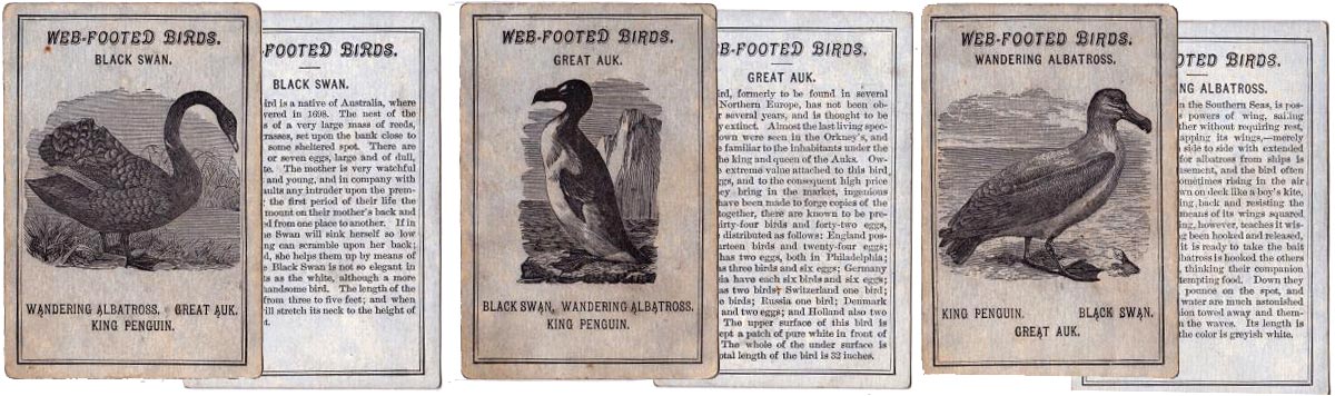Avilude or Game of Birds published by West & Lee, Worcester, Mass, c.1880