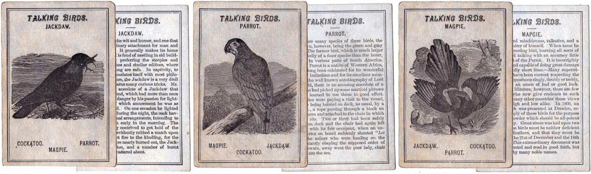 Avilude or Game of Birds published by West & Lee, Worcester, Mass, c.1880