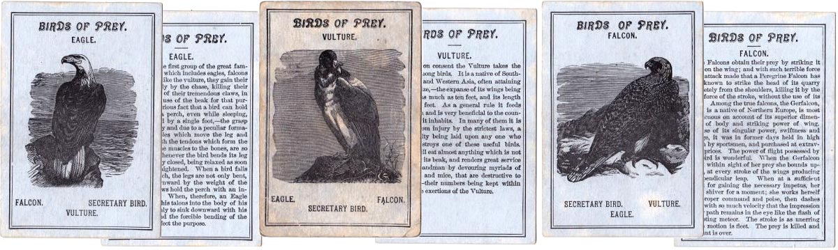 Avilude or Game of Birds published by West & Lee, Worcester, Mass, c.1880