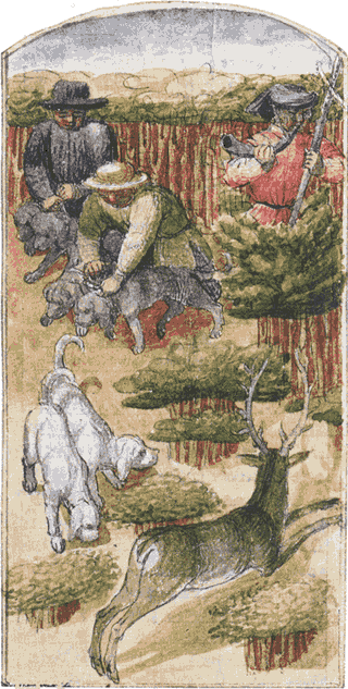 la chasse au cerf la chasse au cerf