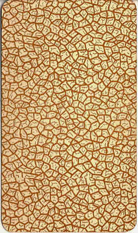brown crackled back design from 'Pam-B' edition of Rider-Waite tarot, 1931-40 brown crackled back design from 'Pam-B' edition of Rider-Waite tarot, 1931-40