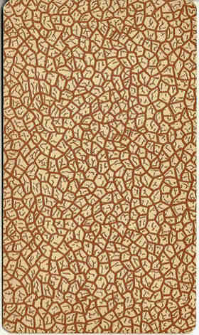brown crackled back design from 'Pam-C' edition of Rider-Waite tarot, 1920-28 brown crackled back design from 'Pam-C' edition of Rider-Waite tarot, 1920-28