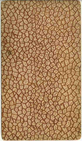 brown crackled back design from 'Pam-D' edition of Rider-Waite tarot, 1920-31 brown crackled back design from 'Pam-D' edition of Rider-Waite tarot, 1920-31