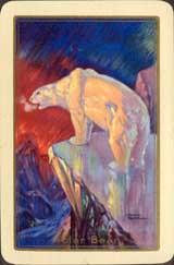 Polar Bear by Harry Rountree